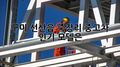 구미 선산읍 죽장리 중고차 인기 모델은?